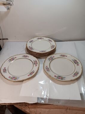 Seven (7) Castletone Elegant White Floral Gold-Trim Dinner Plates 10 3/8"